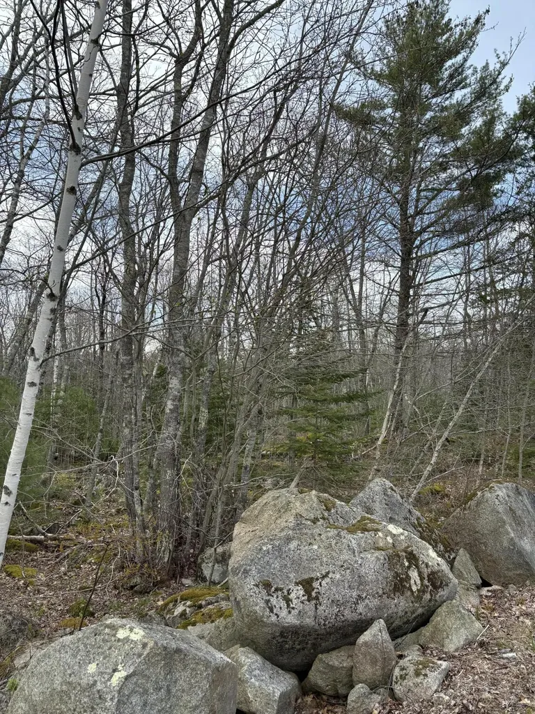 Lot 8 Aspen Drive South Thomaston ME 04858