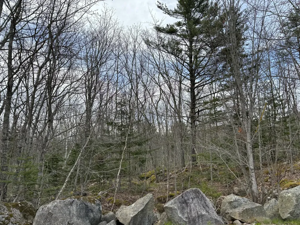 Lot 8 Aspen Drive South Thomaston ME 04858