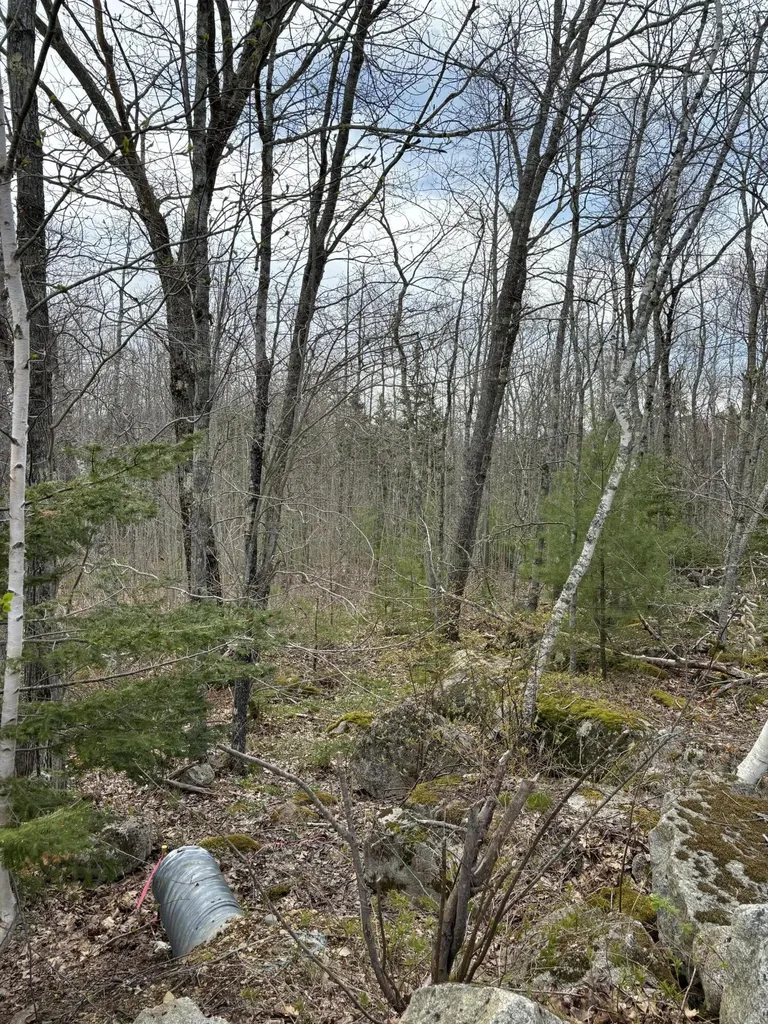 Lot 8 Aspen Drive South Thomaston ME 04858