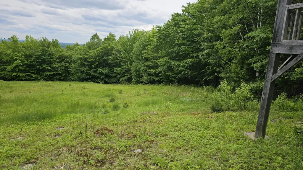 Lot #6 Mill Priviledge Road Carroll Plt ME 04487