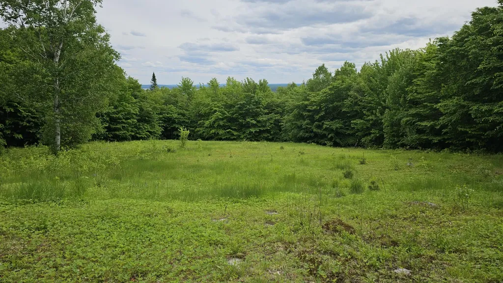 Lot #6 Mill Priviledge Road Carroll Plt ME 04487