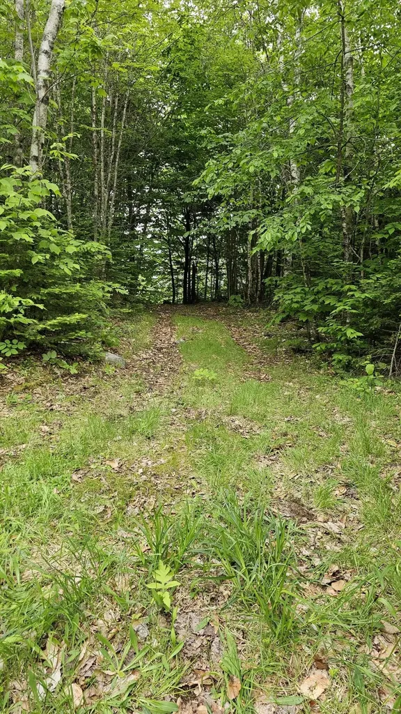 Lot #6 Mill Priviledge Road Carroll Plt ME 04487