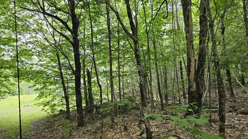 Lot #6 Mill Priviledge Road Carroll Plt ME 04487
