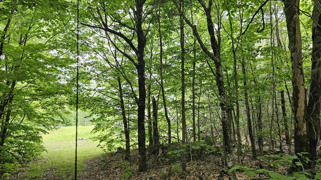 Lot #6 Mill Priviledge Road Carroll Plt ME 04487