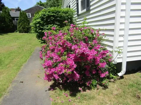 55 Blackmer Street Auburn ME 04210