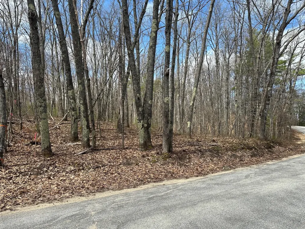 123-010 West Shore Drive Acton ME 04001