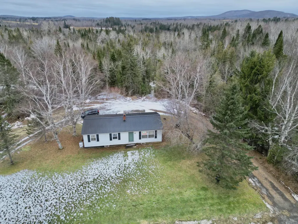 1296 County Road New Limerick ME 04761