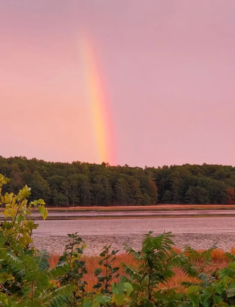 674 Main Road Phippsburg ME 04562