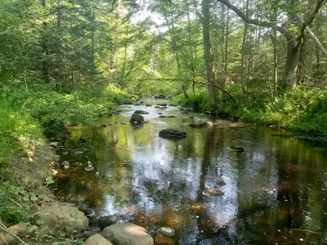 199 Beechwood Street Thomaston ME 04861