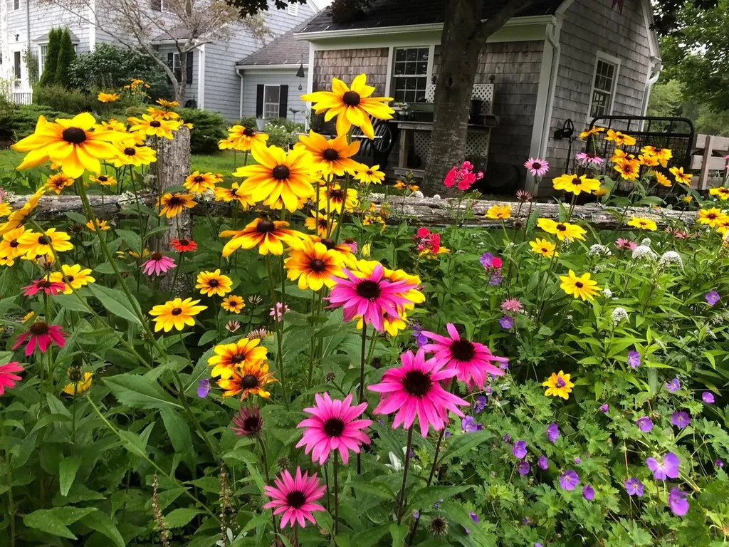 259 Carter Point Road Sedgwick ME 04676