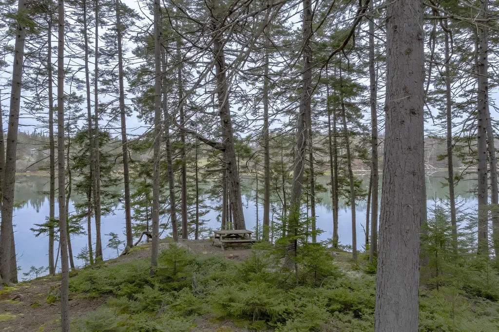 24 Coves End Drive Deer Isle ME 04627