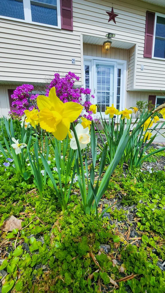 21 Sanford Avenue Old Town ME 04468