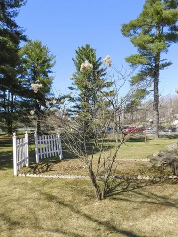 25 Pine Street Dexter ME 04930