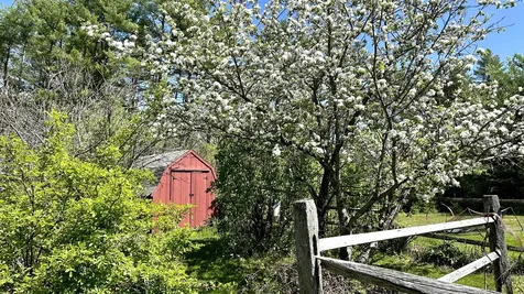 178 Spiller Hill Road Raymond ME 04071