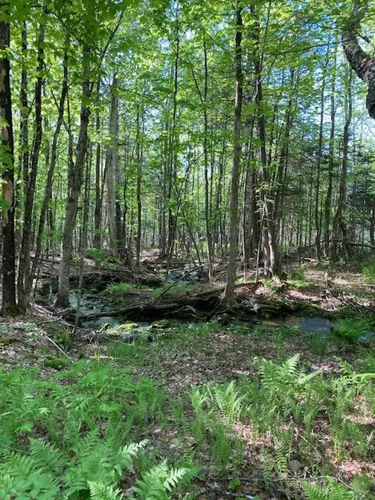 44 Sugar Hill Road Harmony ME 04942