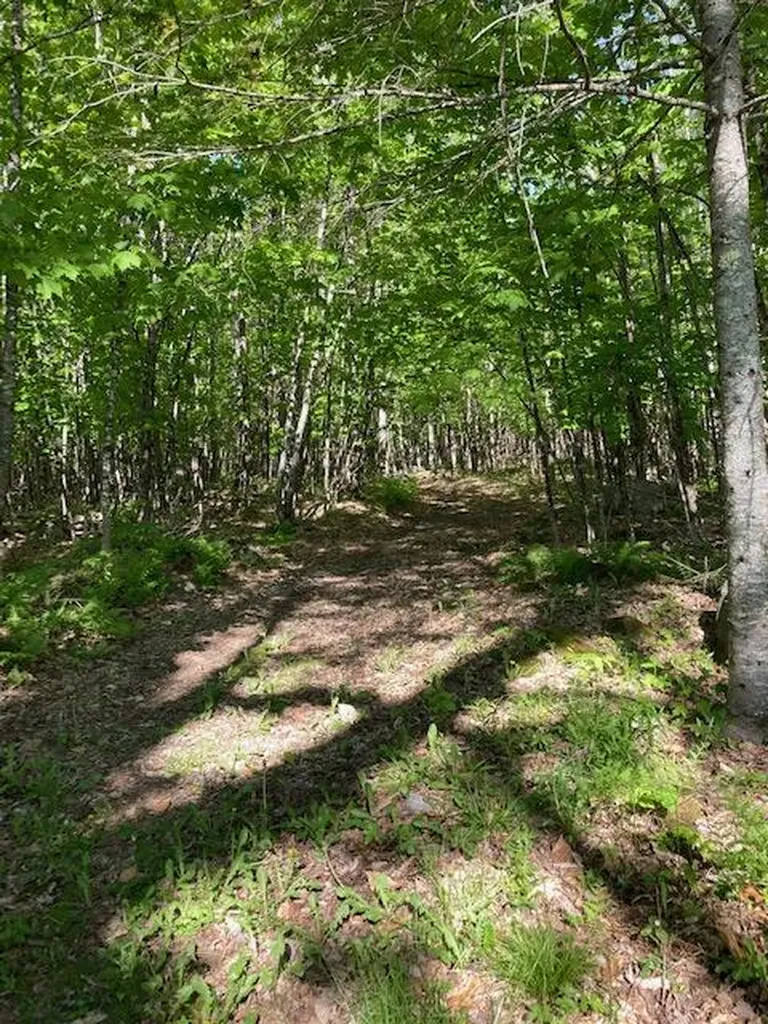 44 Sugar Hill Road Harmony ME 04942