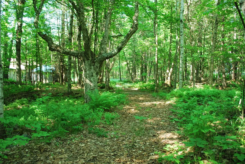 44 Sugar Hill Road Harmony ME 04942