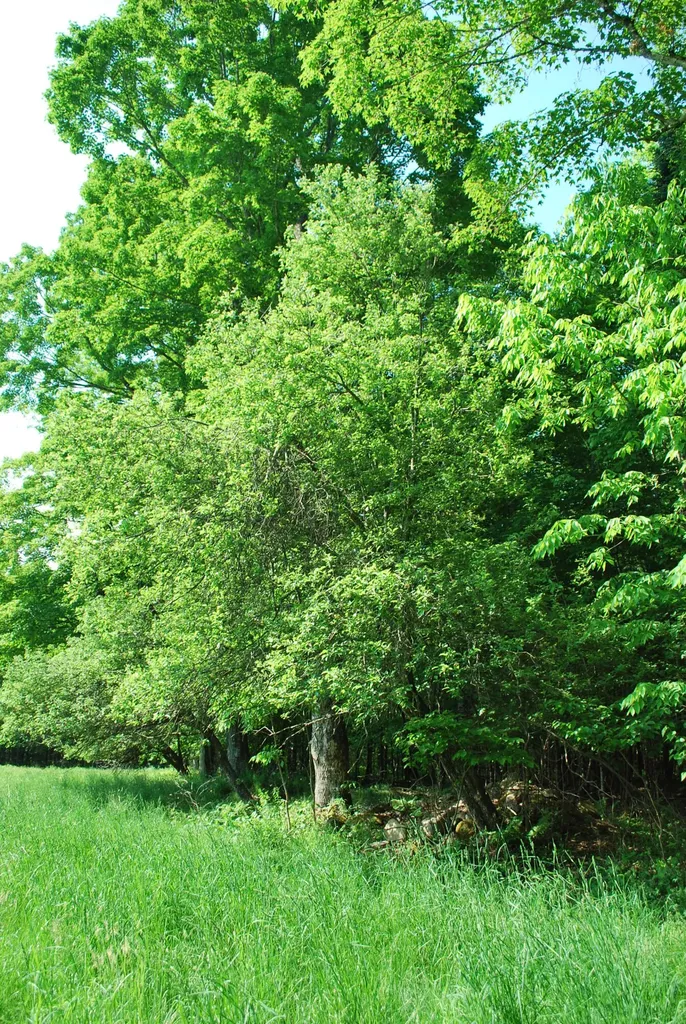 44 Sugar Hill Road Harmony ME 04942
