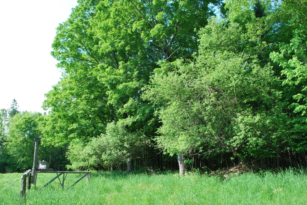 44 Sugar Hill Road Harmony ME 04942