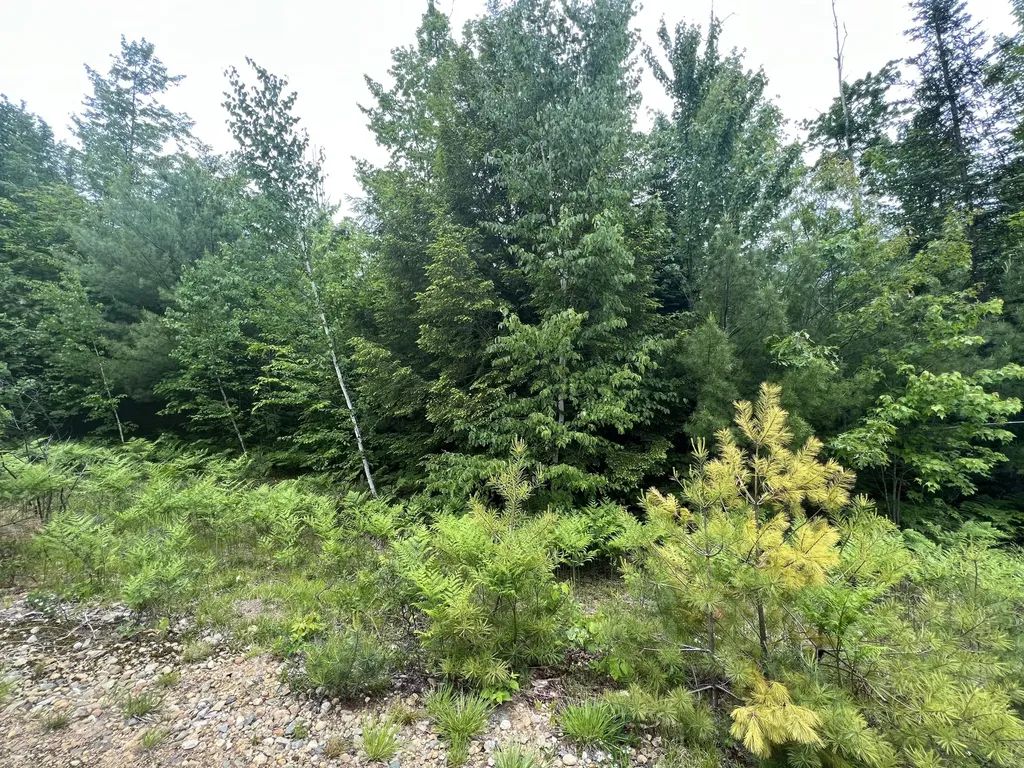 50 Hill Farm Lane Fryeburg ME 04037