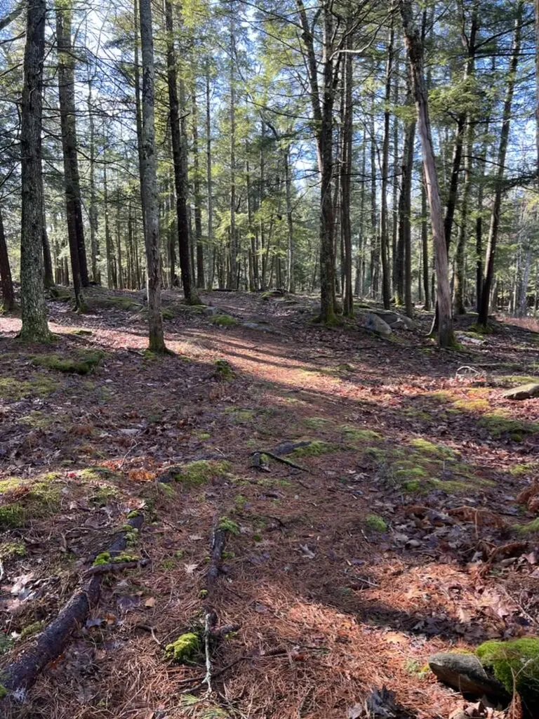 37 Lords Way Windham ME 04062