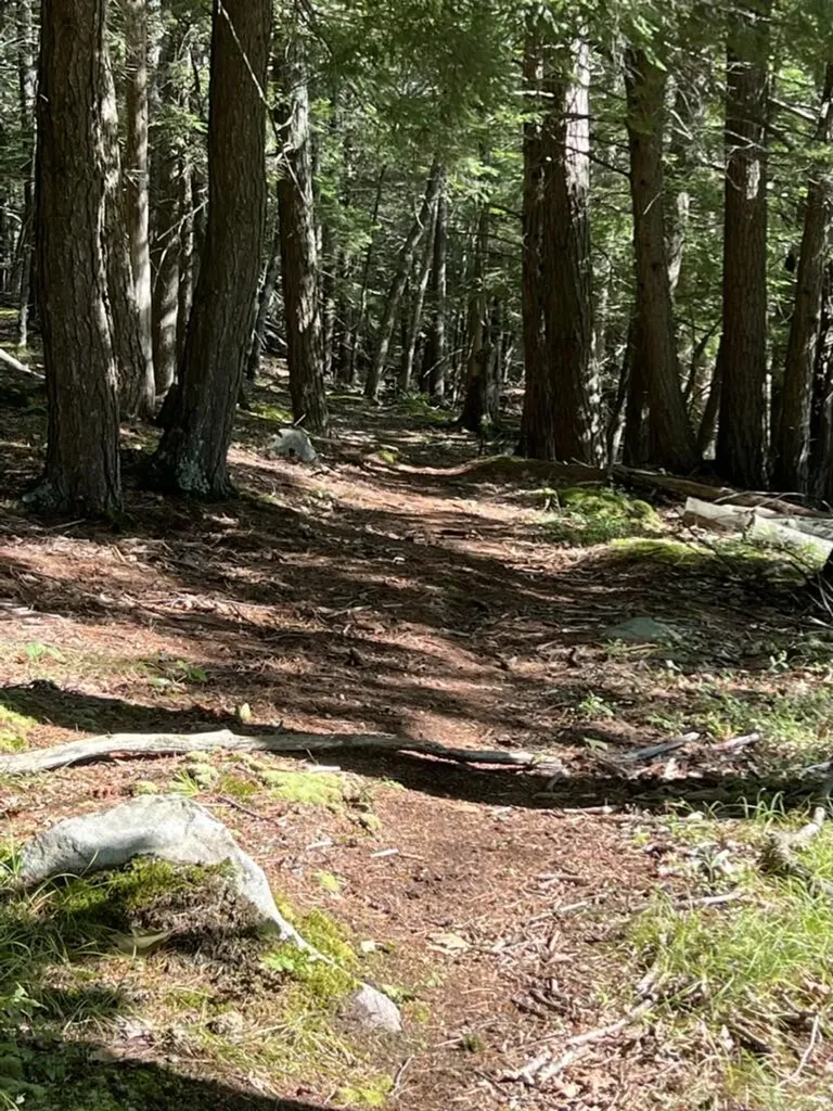 37 Lords Way Windham ME 04062