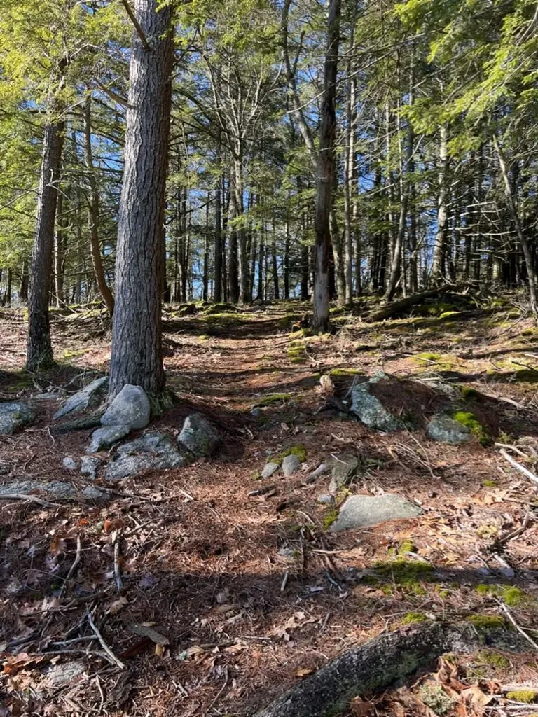 37 Lords Way Windham ME 04062