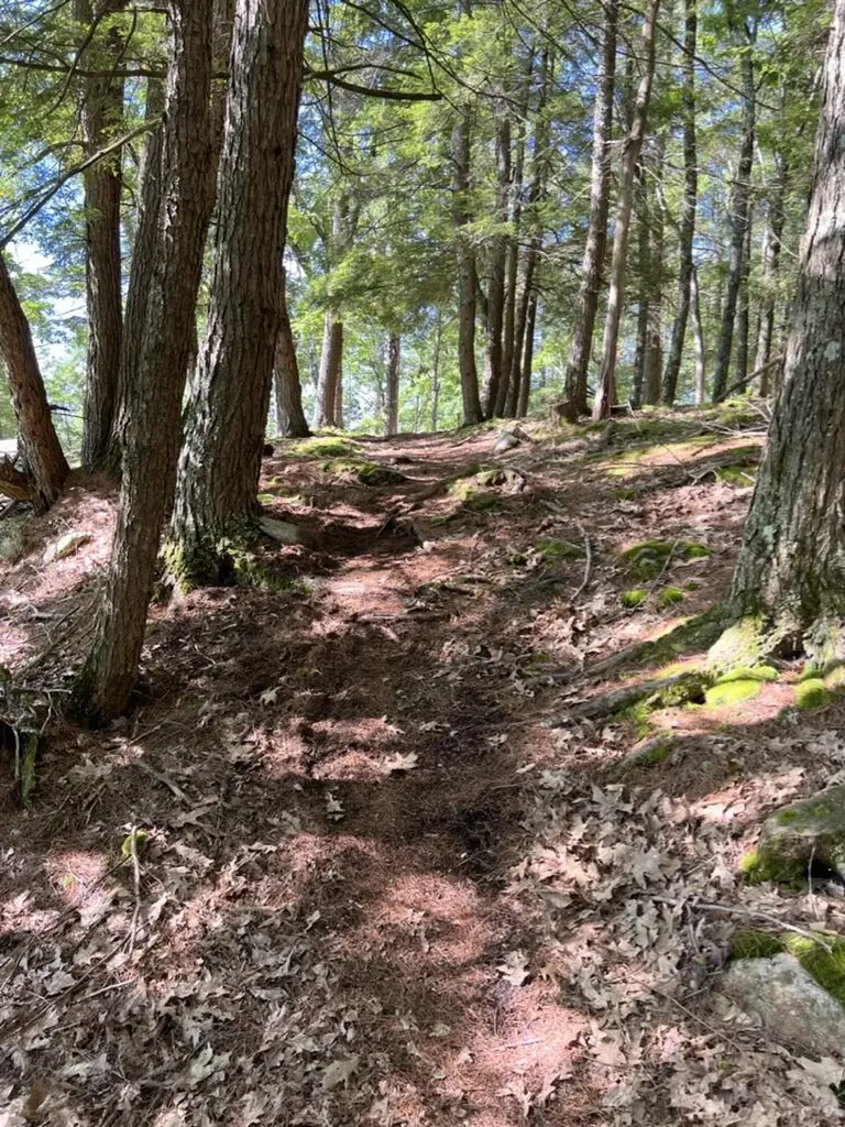 37 Lords Way Windham ME 04062