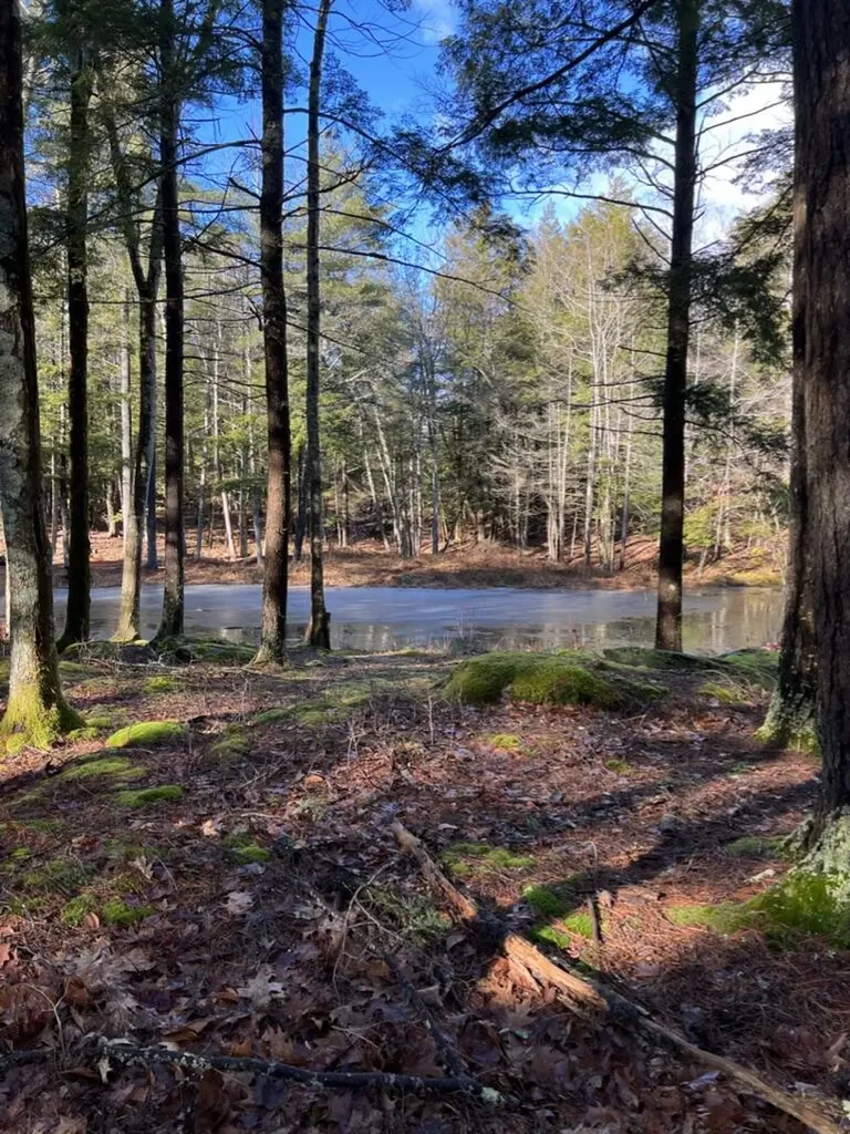37 Lords Way Windham ME 04062