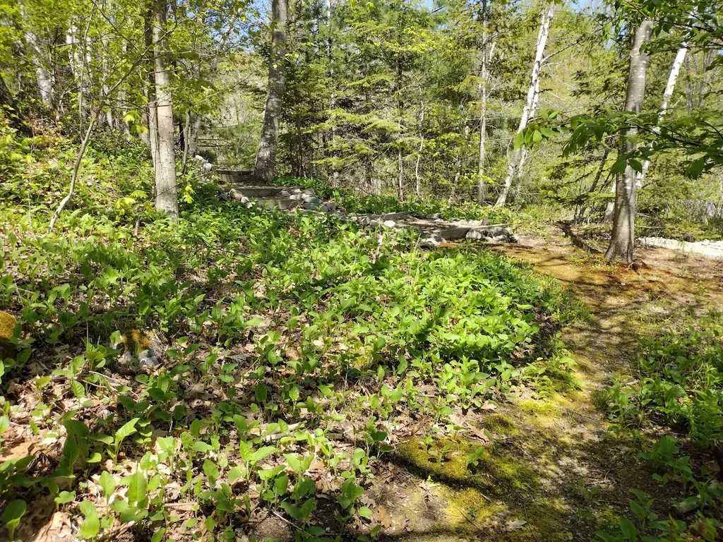 88 Stillwater Road Cherryfield ME 04622