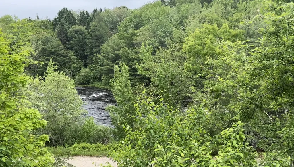 88 Stillwater Road Cherryfield ME 04622