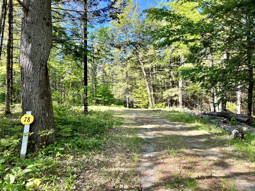 78 Morgan Pitch Road Brooks ME 04921