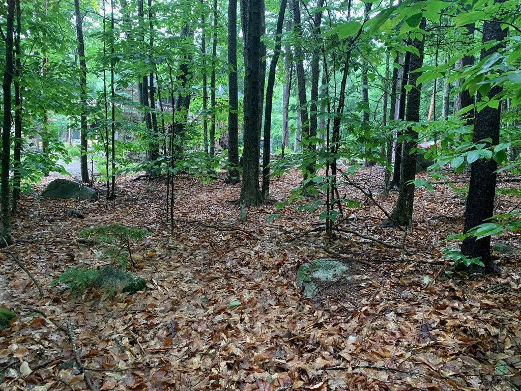 Lot U10-40 Scenic View Drive Naples ME 04055