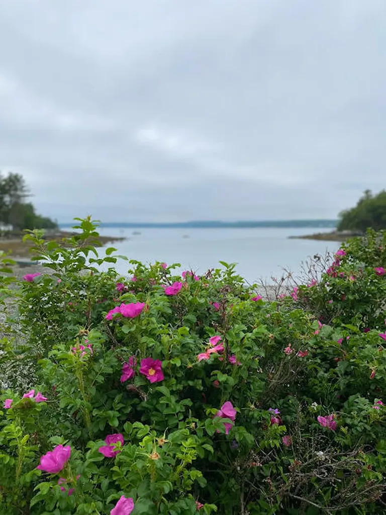 111 Old Bar Harbor Road Bar Harbor ME 04609
