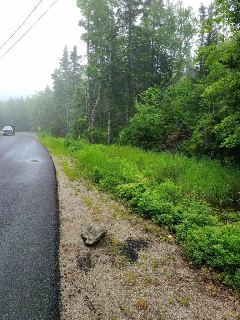 Lot 52 Paul Bunyan Road Gouldsboro ME 04607