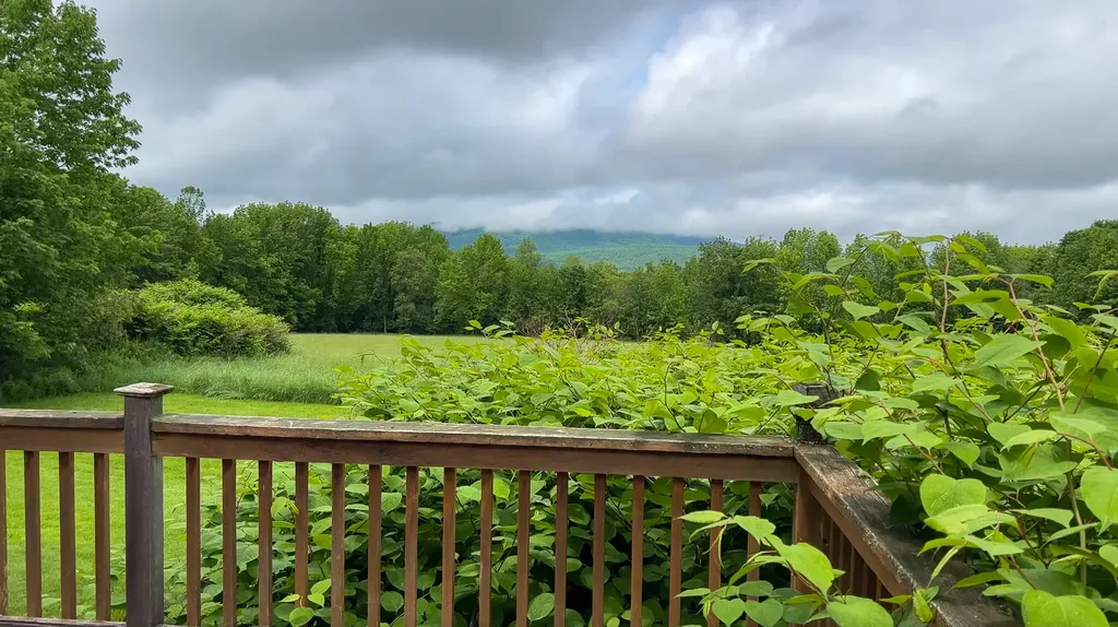 45 Barrett Road Sumner ME 04292