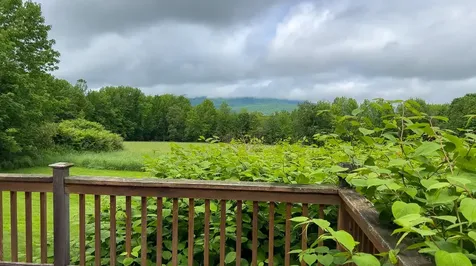 45 Barrett Road Sumner ME 04292