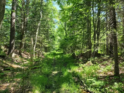 Lot 127 Thurlow Road Lincolnville ME 04849