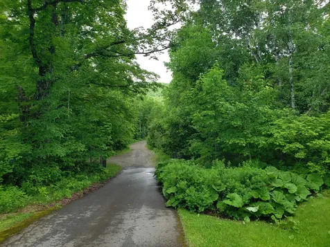 63 Bog Pond Road Phillips ME 04966