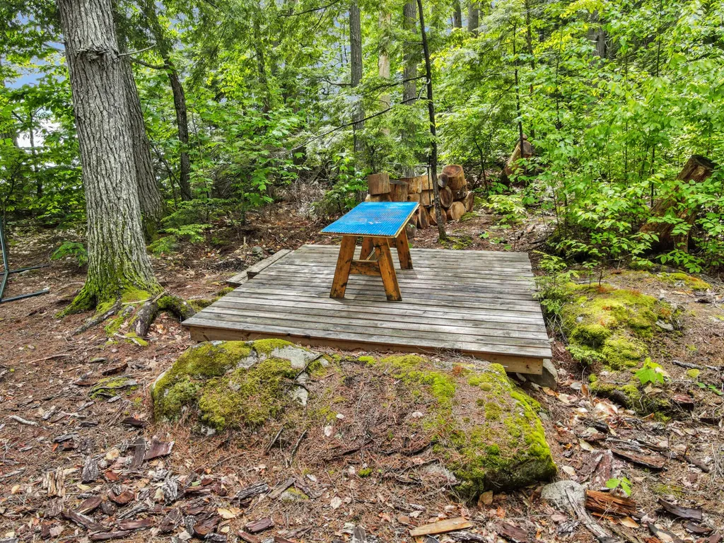 58 Hoyt Island Belgrade ME 04917