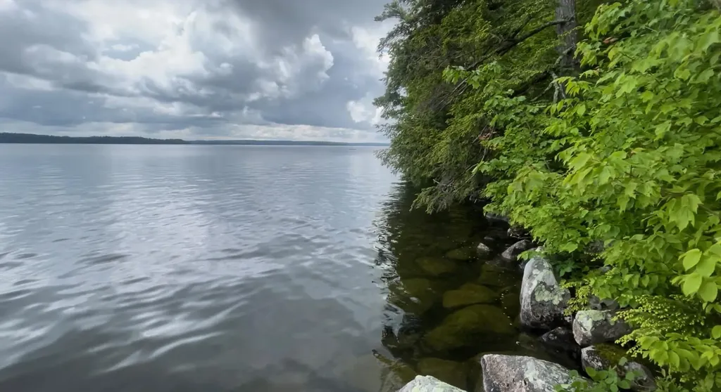 58 Hoyt Island Belgrade ME 04917