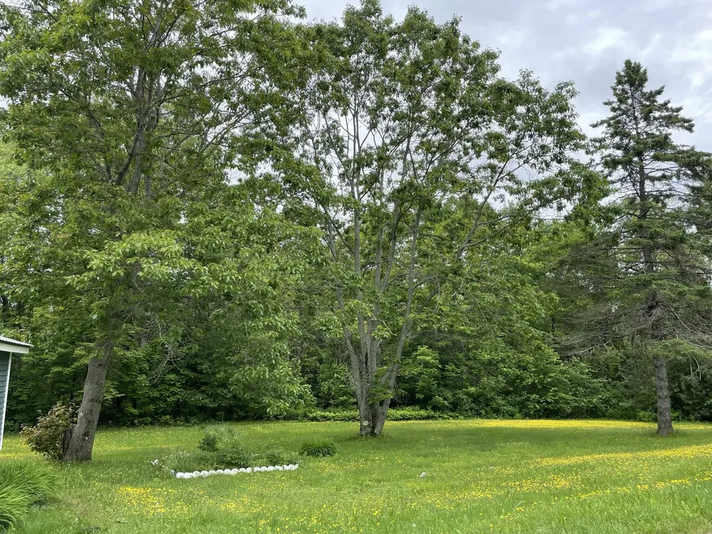 283 Blanchard Road Monson ME 04464