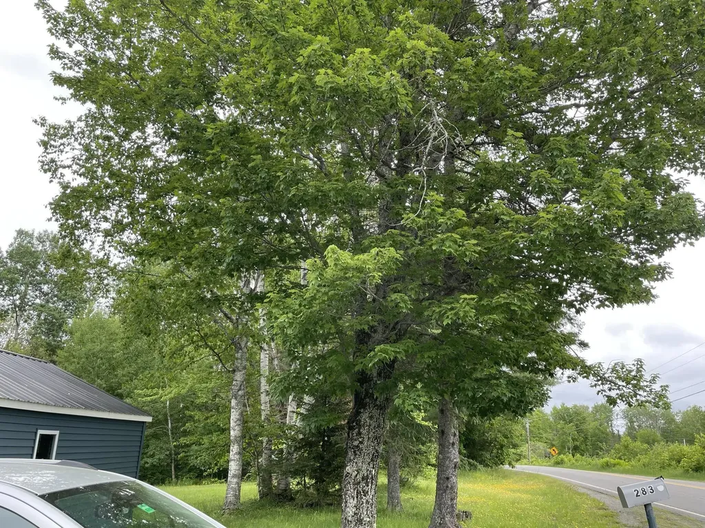 283 Blanchard Road Monson ME 04464