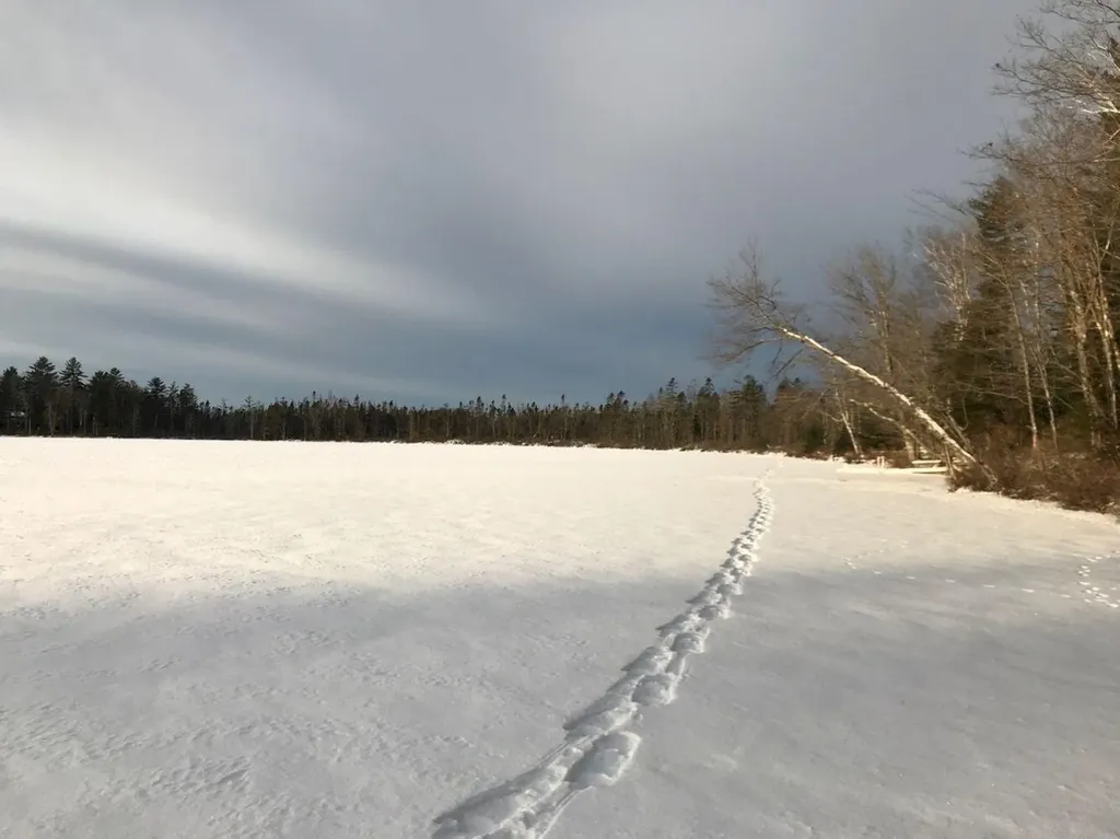 110 Marquis Drive Chesterville ME 04938