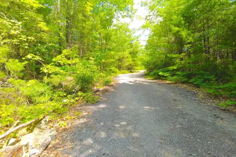 Tbd Roberts Pond Road Lyman ME 04002