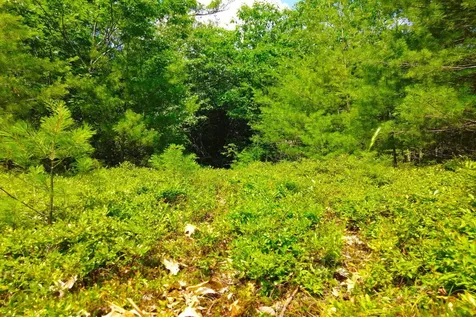 Tbd Roberts Pond Road Lyman ME 04002
