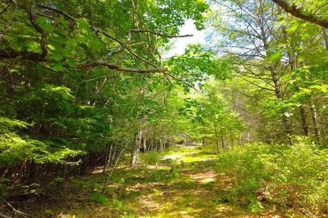 Tbd Roberts Pond Road Lyman ME 04002
