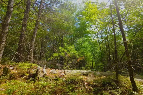 Tbd Roberts Pond Road Lyman ME 04002