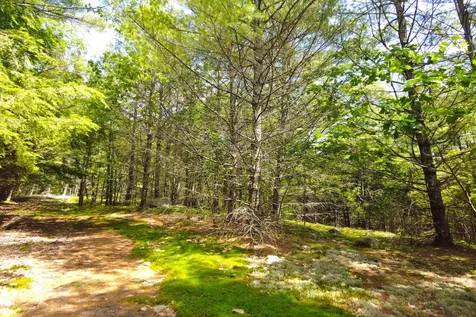 Tbd Roberts Pond Road Lyman ME 04002