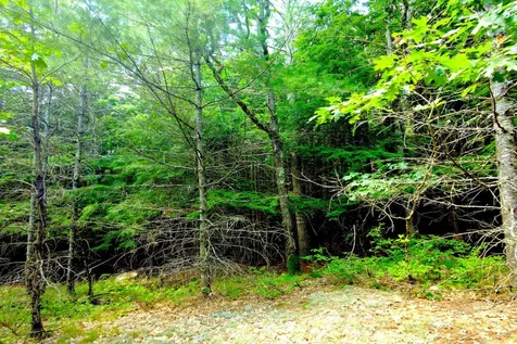 Tbd Roberts Pond Road Lyman ME 04002